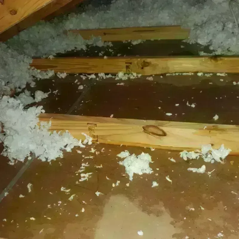 Attic Water Damage in Sulphur Springs, TX