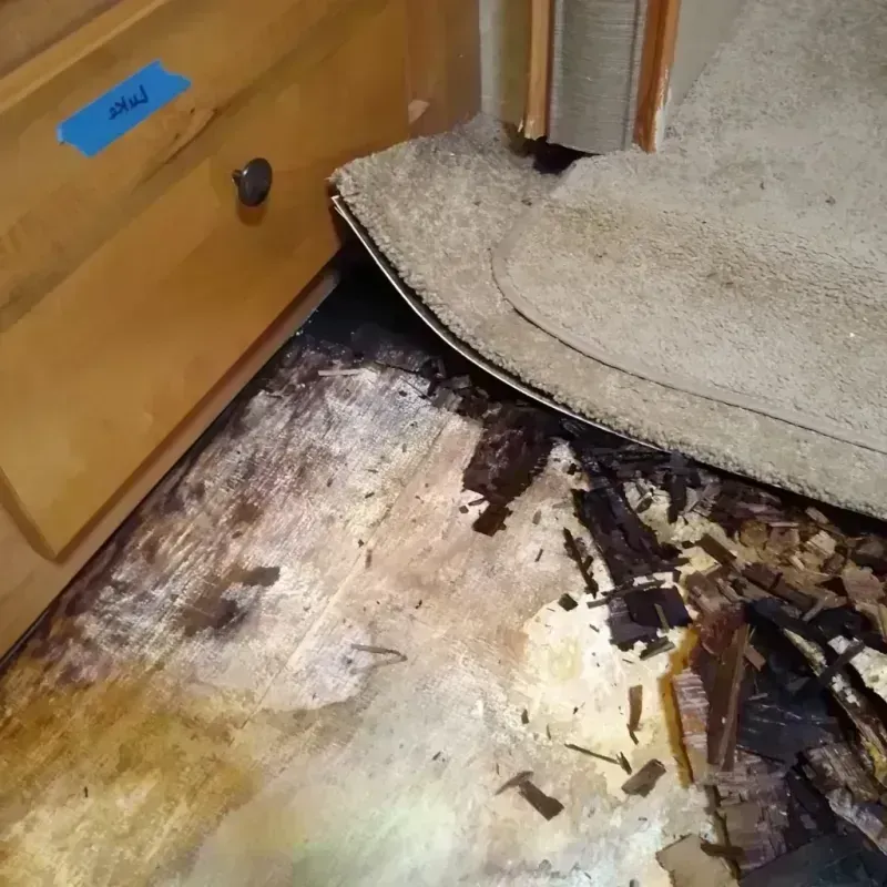 Wood Floor Water Damage in Sulphur Springs, TX